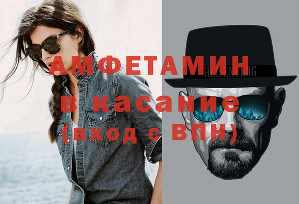 индика Струнино