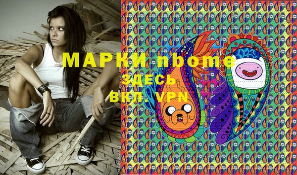индика Струнино