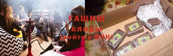 индика Струнино