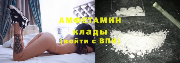 индика Струнино
