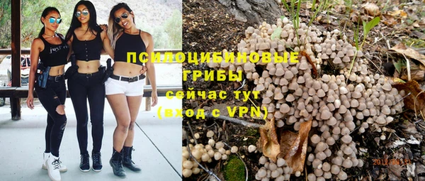 индика Струнино