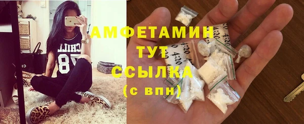 индика Струнино