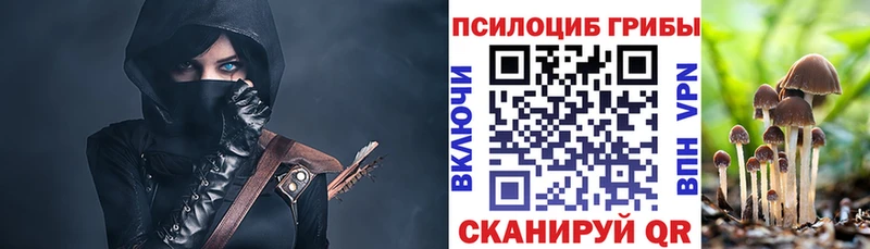 Галлюциногенные грибы прущие грибы купить наркотики цена Кунгур